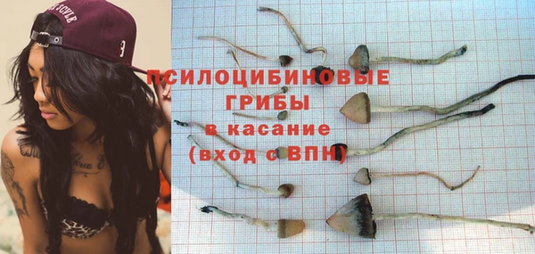 ALPHA PVP Нея