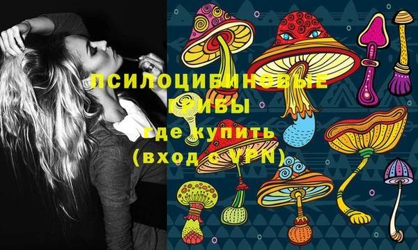 бошки Надым