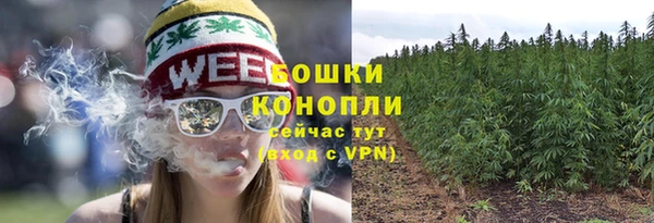бошки Надым