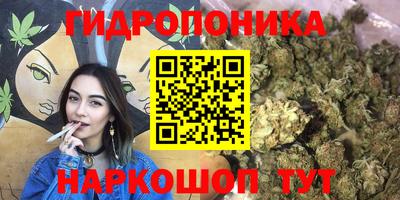 гашиш Кимры