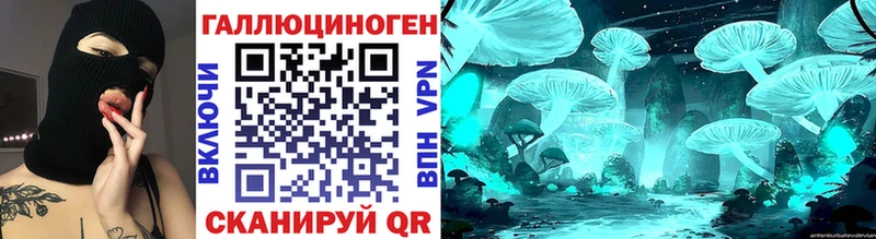 Псилоцибиновые грибы Psilocybine cubensis Курчалой