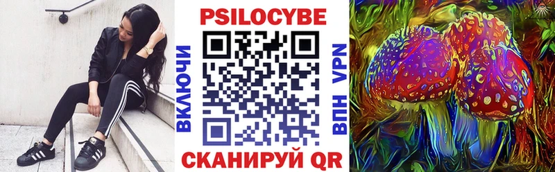 Галлюциногенные грибы Magic Shrooms Курчалой
