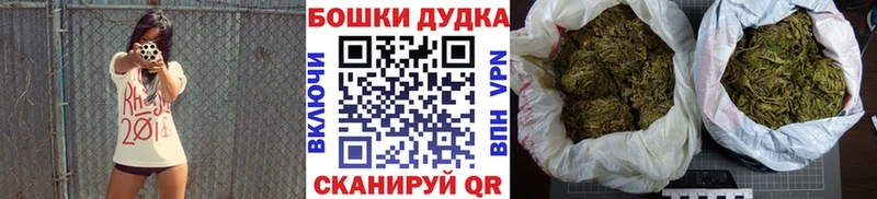 Бошки Шишки планчик  Курчалой 